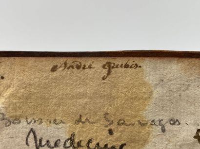 BOISSIER DE SAUVAGES, François. Pathologia...