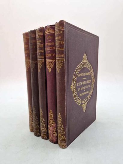 [BIBLIOTHEQUE INTERNATIONALE]. Ensemble de...