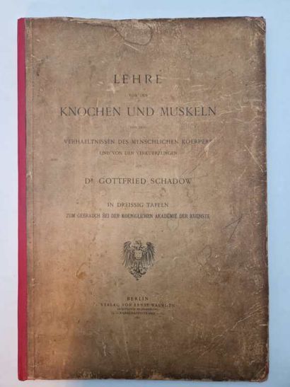 SCHADOW, Gottfried. Lehre von den Knochen...