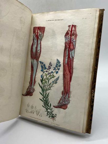 BAYLE, Antoine Laurent. La Médecine Pittoresque,...