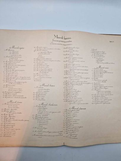 SCHADOW, Gottfried. Lehre von den Knochen...