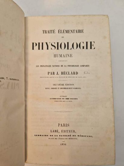 BECLARD, Jules Auguste. Traité Elémentaire...