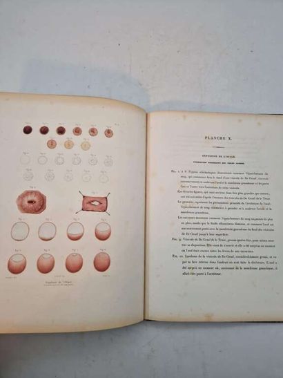 POUCHET, Félix Archimède. Théorie Positive...