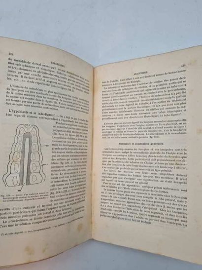 BALFOUR, Francis. Traité d'Embryologie et...