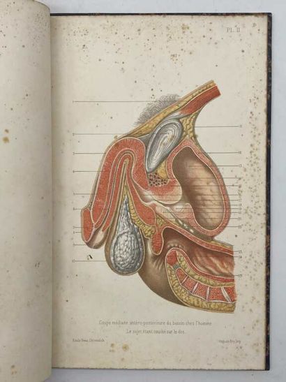 BEAU, Emile. Atlas of 14 color plates, published...