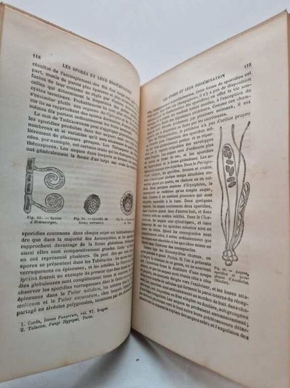 COOKE, Mordecai Cubitt. Les Champignons....