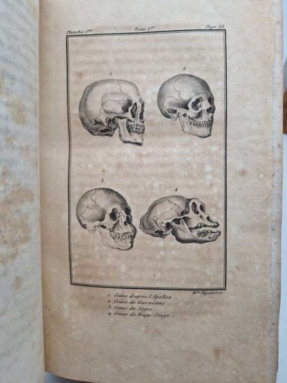 VIREY, Julien-Joseph. Histoire Naturelle...