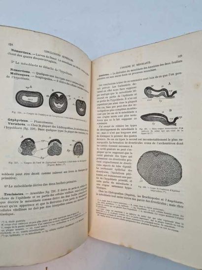 BALFOUR, Francis. Traité d'Embryologie et...