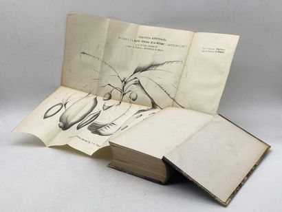 [THESIS]. 6 works. Published in Paris and...
