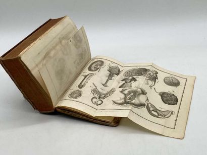 HEISTER, Lorenz. L'Anatomie d'Heister. Published...