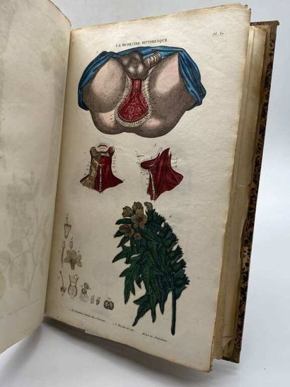 BAYLE, Antoine Laurent. La Médecine Pittoresque,...