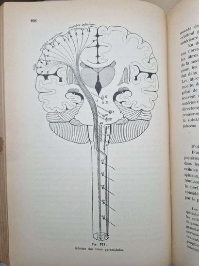 Manette. Set of 11 medical books. 5 bound,...
