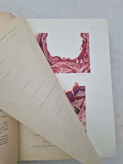 LETULLE, Maurice. Le Poumon. Published in...