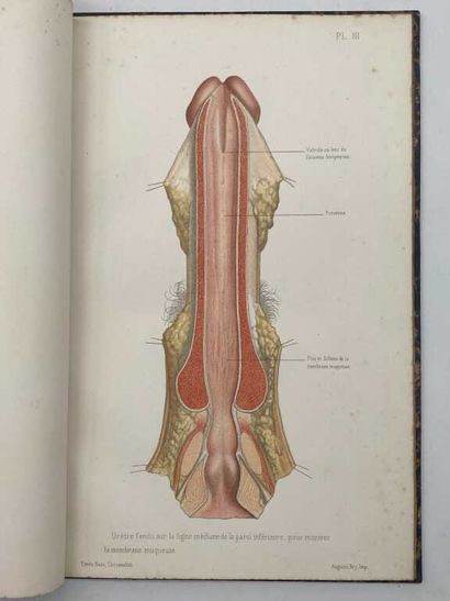 BEAU, Emile. Atlas of 14 color plates, published...