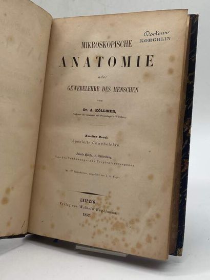 KÖLLIKER, Albert von. Mikroskopische anatomie...