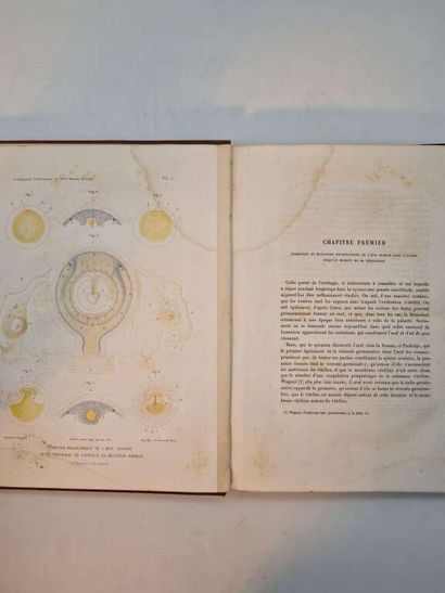 MARTIN-SAINT-ANGE, Gaspar Joseph. Iconographie...