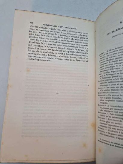 DARWIN, Charles. L'Origine des Espèces au...
