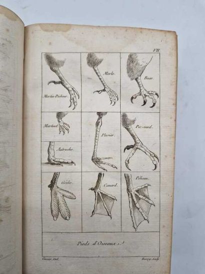 CUVIER, Georges. Tableau Elémentaire de l'Histoire...