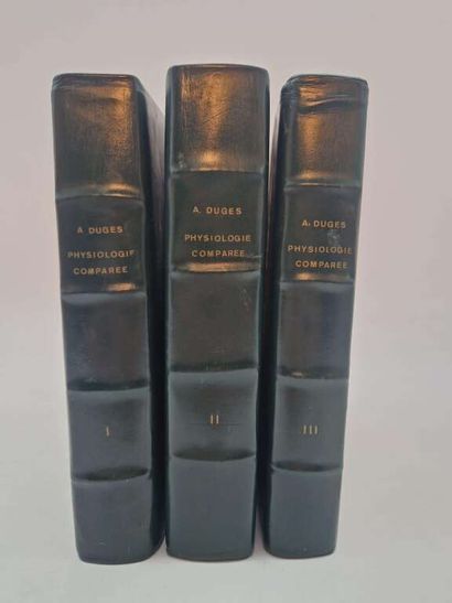 DUGES, Antoine. Traité de Physiologie Comparée...