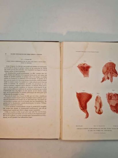 MARTIN-SAINT-ANGE, Gaspar Joseph. Iconographie...
