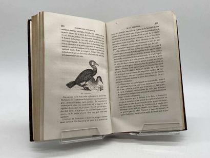 TOUSSENEL, Alphonse. Le Monde des Oiseaux,...
