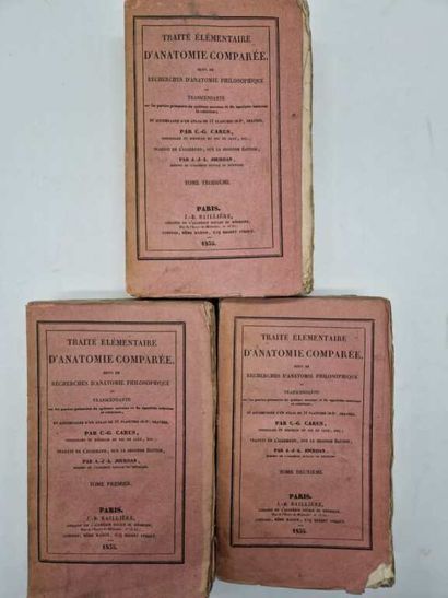 GUSTAV, Carl Gustave. Traité Elémentaire...