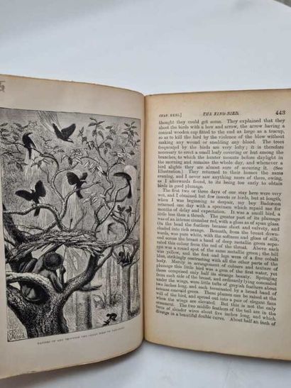 WALLACE, Alfred Russel. The Malay Archipelago:...
