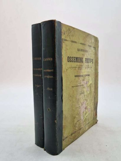 CUVIER, Georges. Recherches sur les Ossemens...