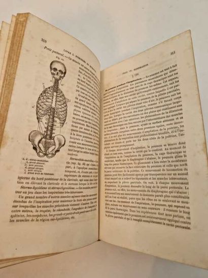BECLARD, Jules Auguste. Traité Elémentaire...