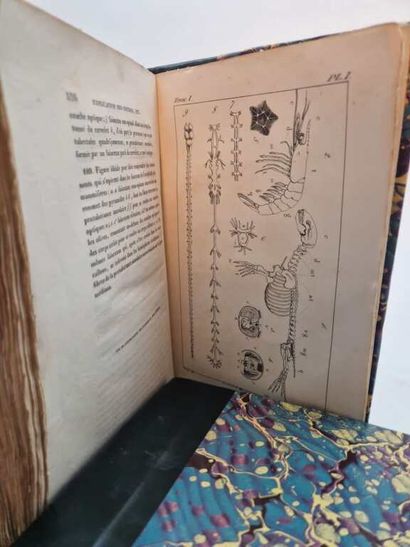DUGES, Antoine. Traité de Physiologie Comparée...
