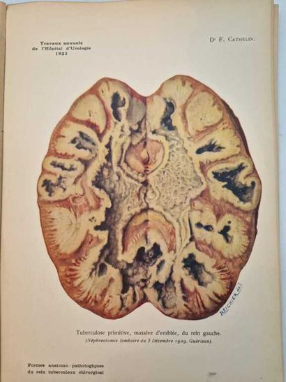 CATHELIN, François. Atlas de Cinquante Aquarelles...