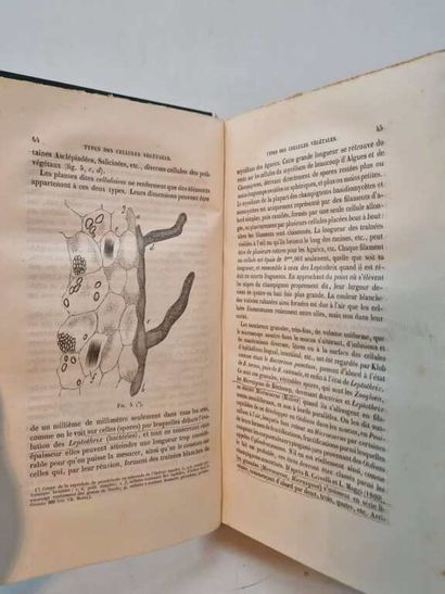 ROBIN, Charles Philippe. Anatomie et Physiologie...