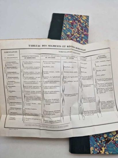 DUGES, Antoine. Traité de Physiologie Comparée...