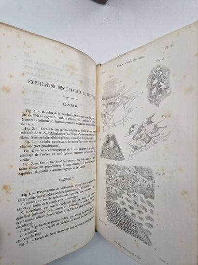 WECKER, Louis de. Traité Théorique et Pratique...