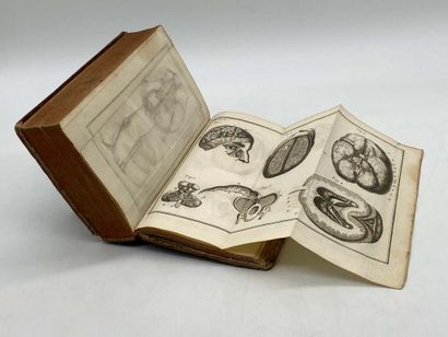 HEISTER, Lorenz. L'Anatomie d'Heister. Published...