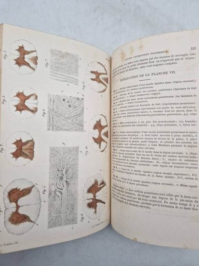 GRASSET, Joseph. Traité Pratique des Maladies...