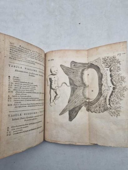 DE GRAAF, Regneri. Regneri de Graaf Opera...