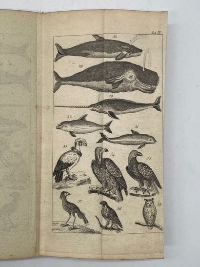 STEIN, Christian Gottfried Daniel. Handbuch...