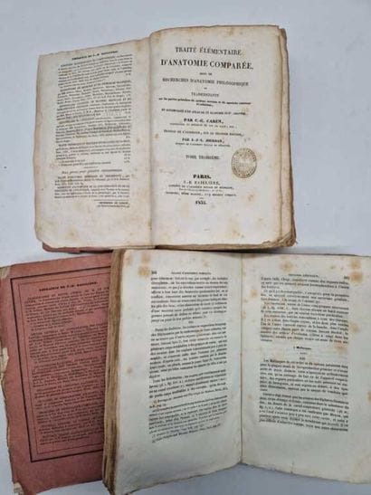 GUSTAV, Carl Gustave. Traité Elémentaire...