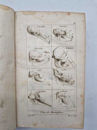 CUVIER, Georges. Tableau Elémentaire de l'Histoire...