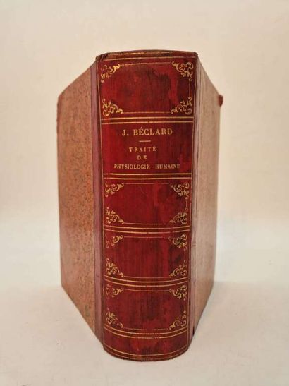 BECLARD, Jules Auguste. Traité Elémentaire...