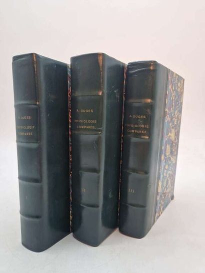 DUGES, Antoine. Traité de Physiologie Comparée...