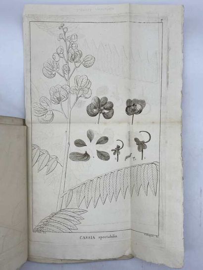 COLLADON, Louis Théodore Frédéric. Histoire...