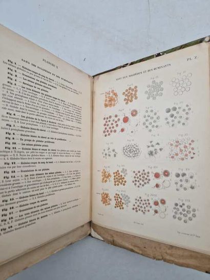 SAPPEY, Marie Philippe Constant. Les Eléments...
