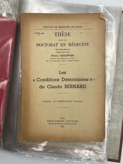 [THESIS]. History of medicine | 13 theses...