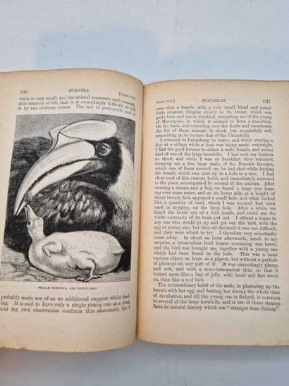 WALLACE, Alfred Russel. The Malay Archipelago:...