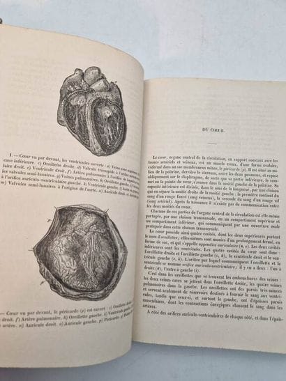 BOCK, Carl Ernest. Le Livre de l'Homme Saint...