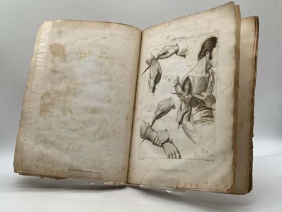 VELPEAU, Alfred. Nouveaux éléments de médecine...