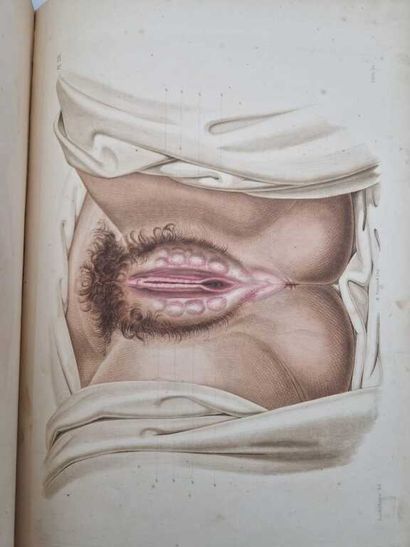 JOBERT DE LAMBALLE, Antoine-Joseph. Traité...