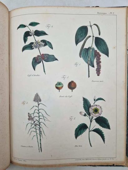 SAUCEROTTE, C. Elémens d'Histoire Naturelle,...